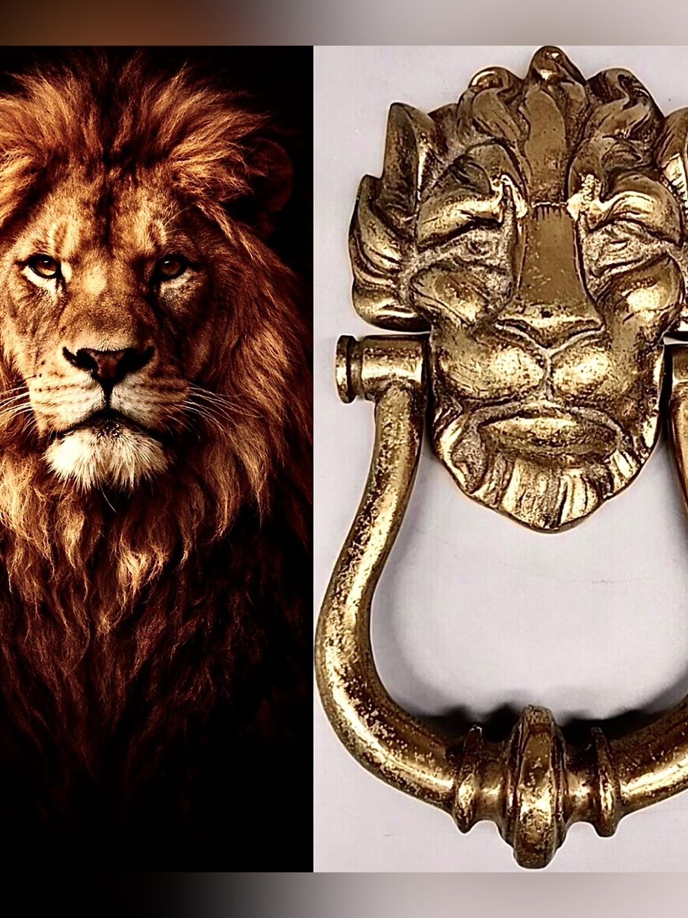 ♥️ Brass Lion Head Door Knocker - Gold Finish